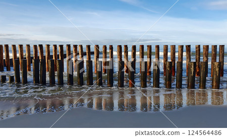 Low angle view of round wooden piles of old breakwater stockade on the Baltic Sea shore with calm waves rolling on sandy beach at winter day. With no people seascape natural background. 124564486
