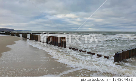 Empty sandy coast of severe Baltic sea with stormy waves rolling on old wooden breakwater piles as shore protection under dramatic cloudy sky at overcast winter day. No people desolate seascape. 124564488