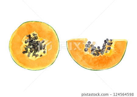 A fresh papaya slice with seeds watercolor illustration set isolated on white. The hand-painted tropical fruit clip art is perfect for culinary designs, labels, prints, cards, packages and menu 124564598