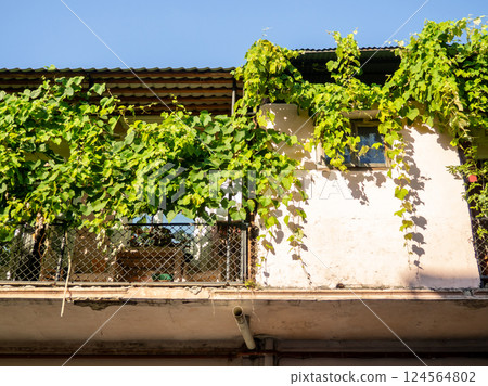 Dwellings in the south. The apartment is on the second floor. Roof life. Last floor. Cozy balcony Dwellings in the south. The apartment is on the second floor. Roof life. Last floor. Cozy balcony 124564802