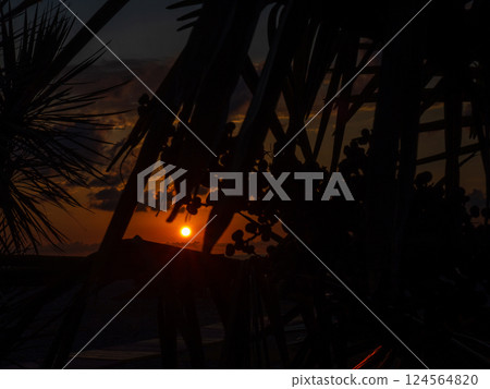 Evening on the beach. Beautiful orange sunset. Evening in Baumi. Black Sea coast. Rest on the sea. Sunset through the leaves 124564820