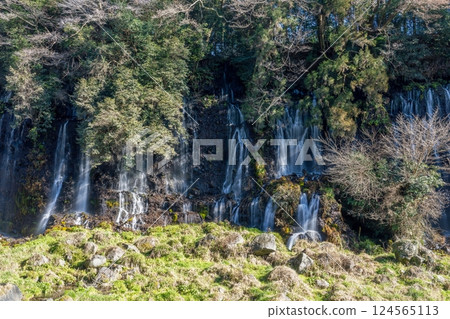The delicate scenery of Shiraito Falls The delicate scenery of Shiraito Falls 124565113