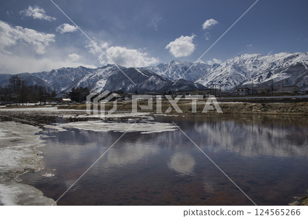 Mt. Karamatsu, Mt. Goryu and rice fields: Beautiful spring scenery of Hakuba as the snow melts, Hakuba Village, Nagano Prefecture 124565266