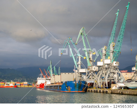 Seaport. Ships unloading. Container ships. Industry. Port of Batumi.  moored ships 124565307