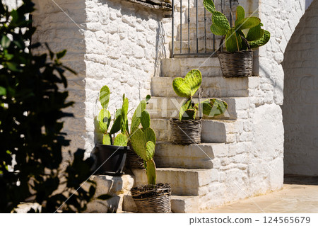 Cactus plants in baskets on stone steps Cactus plants in baskets on stone steps 124565679
