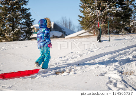 Child pulling a sled up a snow covered hill covered with tracks 124565727