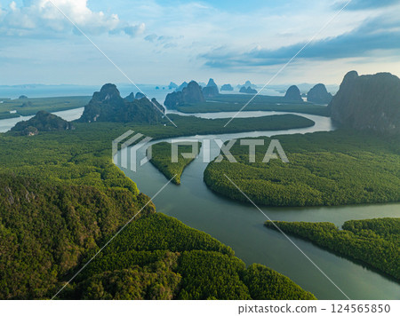Aerial View of canals winding in the mangroves create a heart-shaped island. 124565850