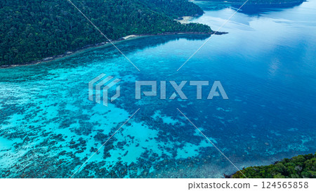 Aerial view of coral reef in sea shore Aerial view of coral reef in sea shore 124565858