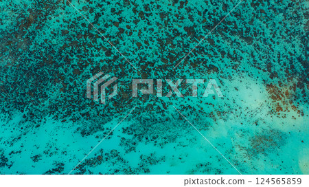 The island's coastline is full of coral reefs and white sandy beaches. The island's coastline is full of coral reefs and white sandy beaches. 124565859