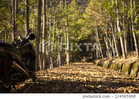 秋季自行車旅遊 124565900