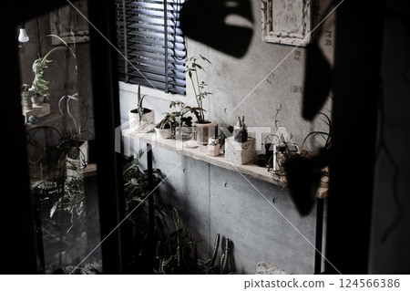 My home, houseplants, unique, interior, uninhabited, no people My home, houseplants, unique, interior, uninhabited, no people 124566386