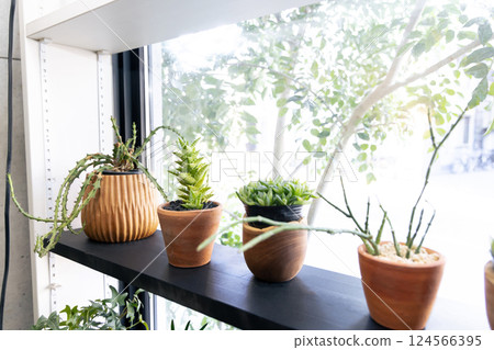 My home, houseplants, unique, interior, uninhabited, no people My home, houseplants, unique, interior, uninhabited, no people 124566395