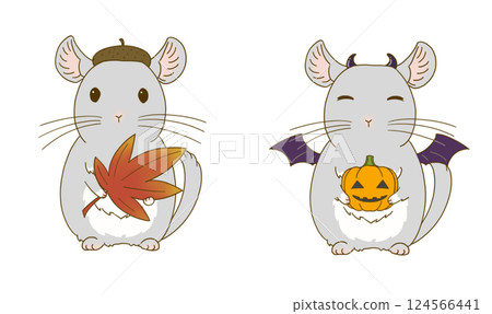 Autumn Chinchilla Illustration Set (Gray) Autumn Chinchilla Illustration Set (Gray) 124566441