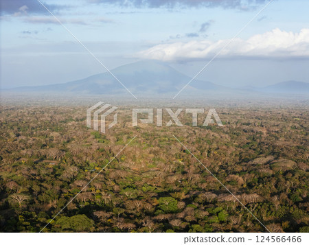 Lush green landscape under  cloudy sky in Central America during late afternoon 124566466