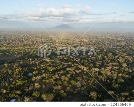 Lush greenery spreads across vast landscape with distant mountains under a bright sky 124566469