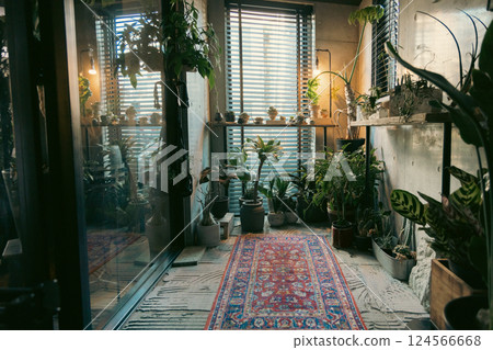 My home, houseplants, unique, interior, uninhabited, no people My home, houseplants, unique, interior, uninhabited, no people 124566668