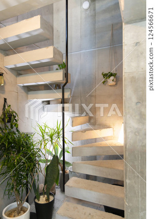 spiral staircase  124566671