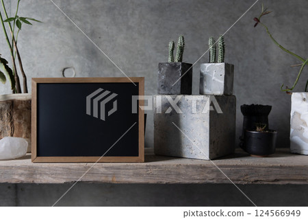 My home, houseplants, unique, interior, uninhabited, no people 124566949