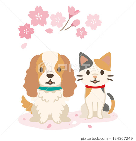 Spring cherry blossoms and cat and dog illustration Spring cherry blossoms and cat and dog illustration 124567249