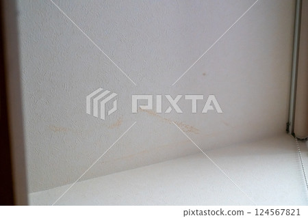 天花板牆紙上的污漬 天花板牆紙上的污漬 124567821