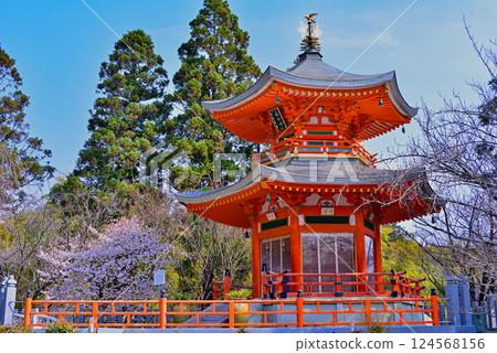 Cherry blossoms and Henshoto 3 Cherry blossoms and Henshoto 3 124568156