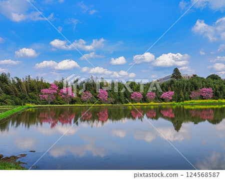 房總的春景：水鏡世界 124568587