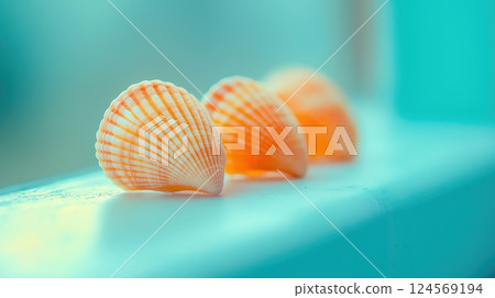 Three Delicate Orange Shells Resting on a Light Surface with a Soft Blue Background 124569194