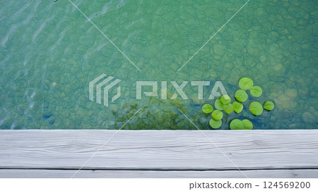 Tranquil Pond Surface with Green Lily Pads and Clear Water Reflection in Natural Outdoor Scene 124569200
