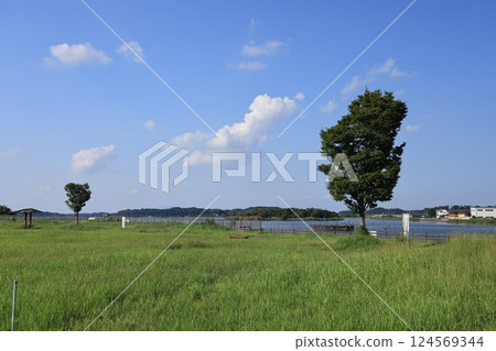 Scenery of Ushiku Marsh in Ryugasaki City, Ibaraki Prefecture Scenery of Ushiku Marsh in Ryugasaki City, Ibaraki Prefecture 124569344
