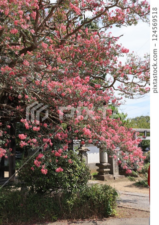 茨城縣龍崎市天台宗金剛山觀佛寺景觀 茨城縣龍崎市天台宗金剛山觀佛寺景觀 124569518