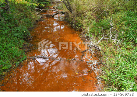Senjogahara Nature Study Trail: Red River (Nikko City, Tochigi Prefecture) Senjogahara Nature Study Trail: Red River (Nikko City, Tochigi Prefecture) 124569758