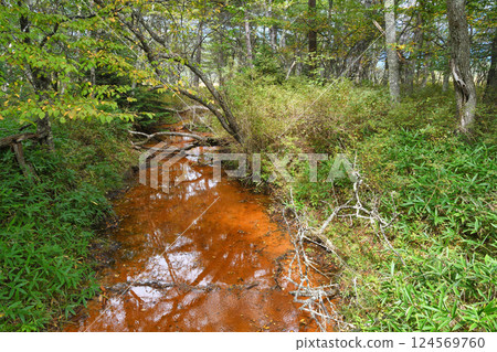 Senjogahara Nature Study Trail: Red River (Nikko City, Tochigi Prefecture) 124569760