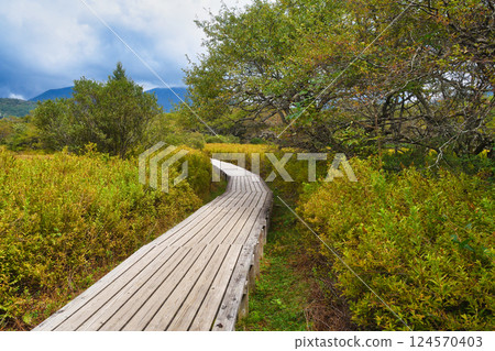 Senjogahara Nature Study Trail (Nikko City, Tochigi Prefecture) Senjogahara Nature Study Trail (Nikko City, Tochigi Prefecture) 124570403