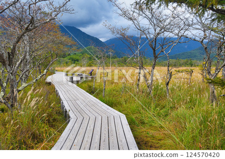 Senjogahara Nature Study Trail (Nikko City, Tochigi Prefecture) Senjogahara Nature Study Trail (Nikko City, Tochigi Prefecture) 124570420