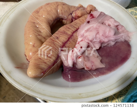 Fresh zander fish filleting on wooden board 124571138