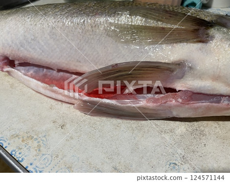 Fresh zander fish filleting on wooden board 124571144