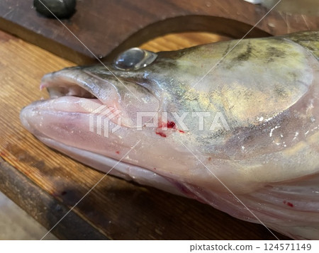 Fresh zander fish filleting on wooden board 124571149