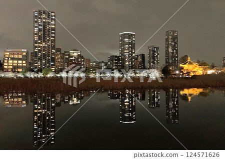 從不忍池欣賞的櫻花夜景。 124571626
