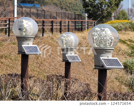 Solar lighting system (Shimizu PA, Shin-Tomei Expressway) 124571654