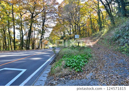 山梨縣甲斐市「神風城」城垣景觀 山梨縣甲斐市「神風城」城垣景觀 124571815