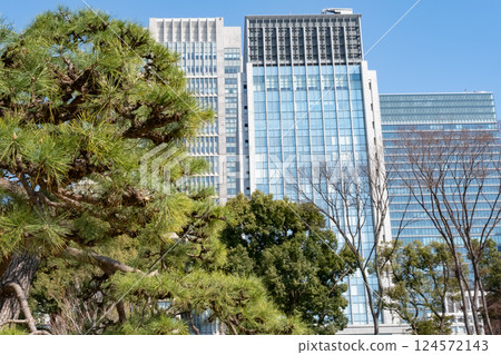 從皇宮廣場望去的摩天大樓和松樹 124572143