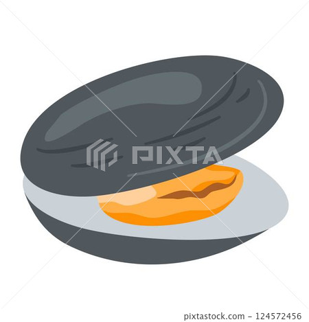 Fresh Oyster Shells seafood illustration 124572456