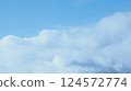 Fluffy Clouds 124572774