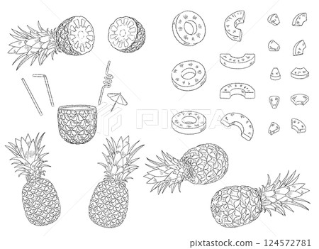 菠蘿線描插畫素材集_單色 菠蘿線描插畫素材集_單色 124572781