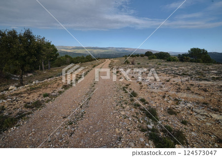 Rocky road for cars in the mountains Rocky road for cars in the mountains 124573047