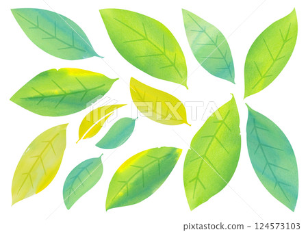 Watercolor leaf variations 124573103