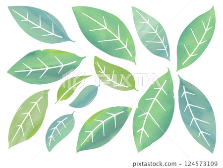 水彩葉子的變化 124573109