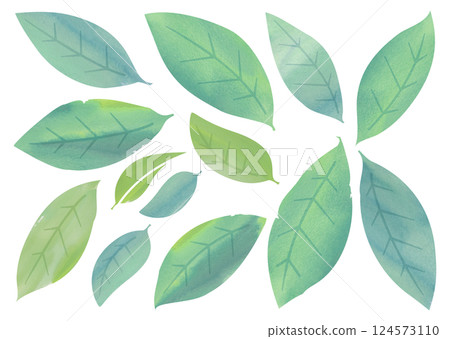 水彩葉子的變化 水彩葉子的變化 124573110
