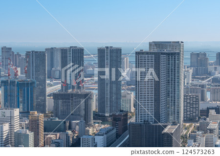 Scenery in the center of the city seen from a skyscraper 124573263