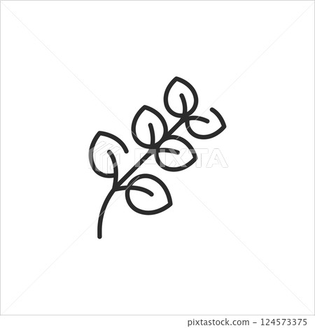 Eucalyptus Icon 124573375